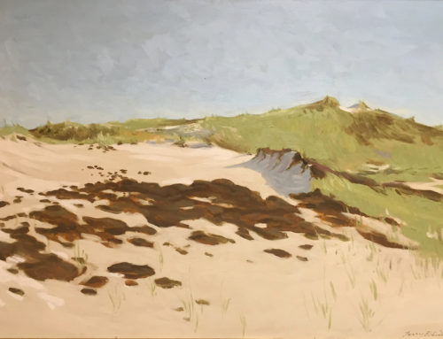 Dunes in Nappeague